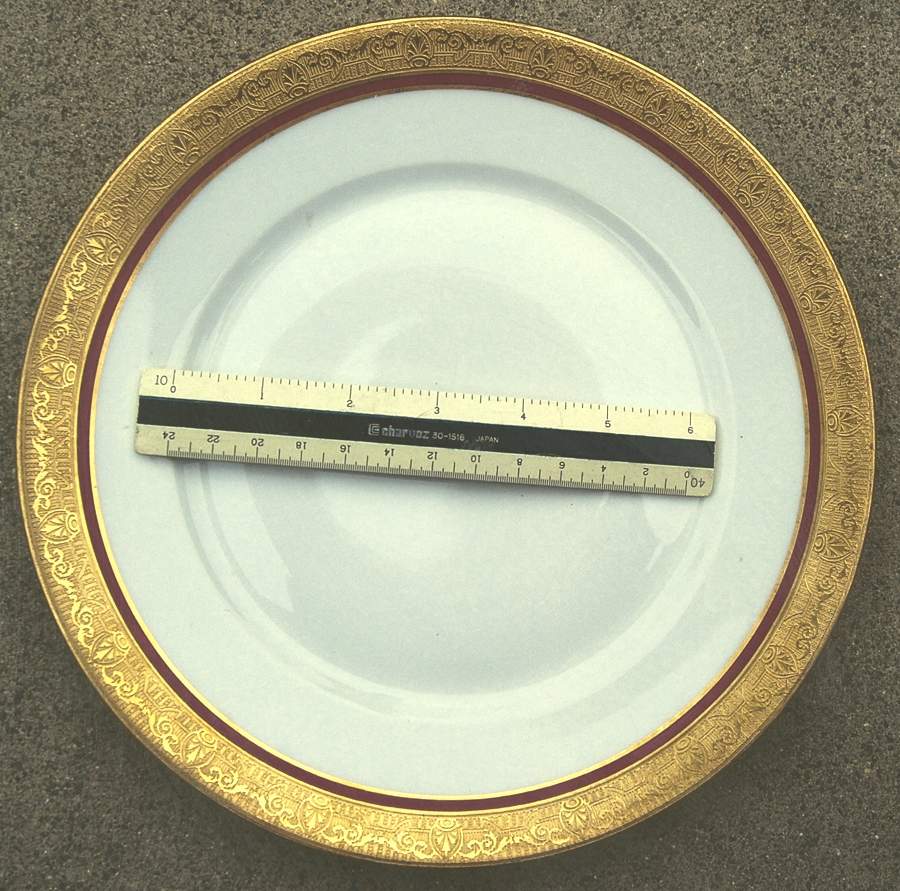 LEG114 Dinner Plate by F Legrand & Cie-1