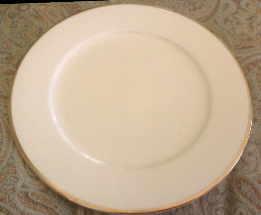 LTG12 Dinner Plate by Linens N Things-1