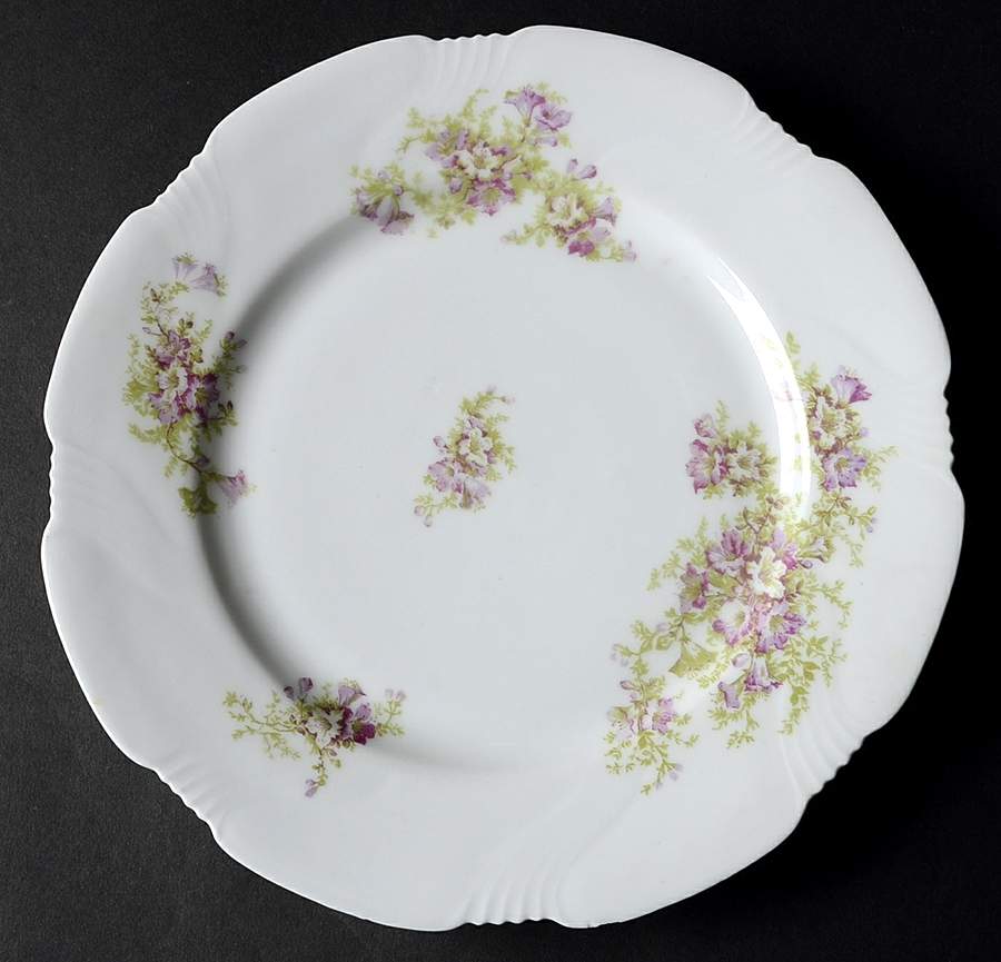 LSS279 Dinner Plate by Lazarus Straus & Sons-1