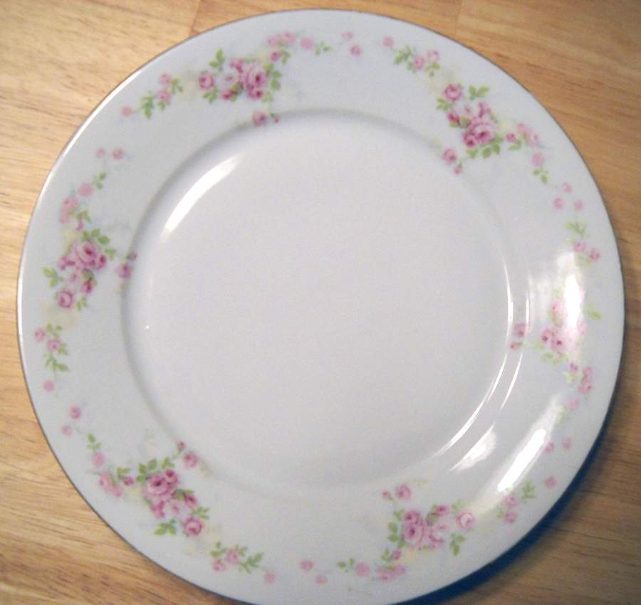 LSS282 Dinner Plate by Lazarus Straus & Sons-1