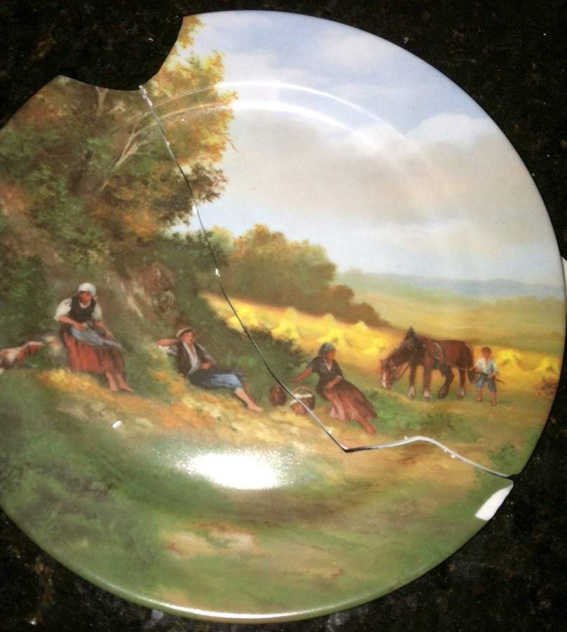 LIM641 Salad Plate by Limoges-French-1