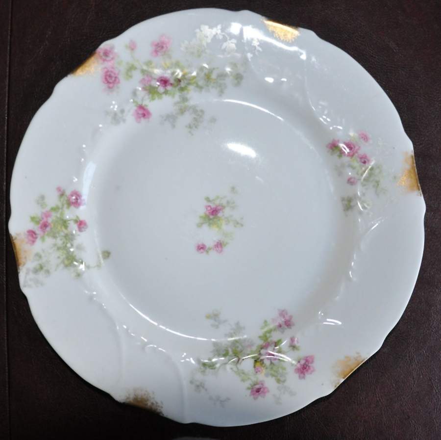 LIM635 Dinner Plate by Limoges-French-1