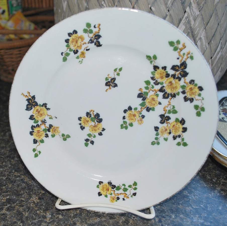 LEG120 Dinner Plate by F Legrand & Cie-1