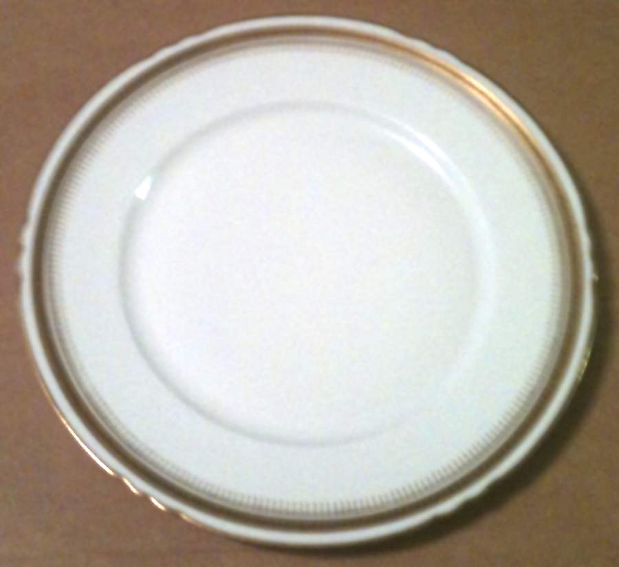 LIM643 Dinner Plate by Limoges-French-1