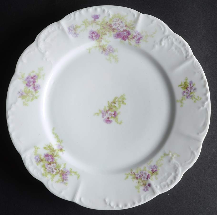 LSS292 Dinner Plate by Lazarus Straus & Sons-1