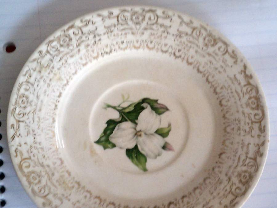 Trillium Saucer by Limoges-American-1
