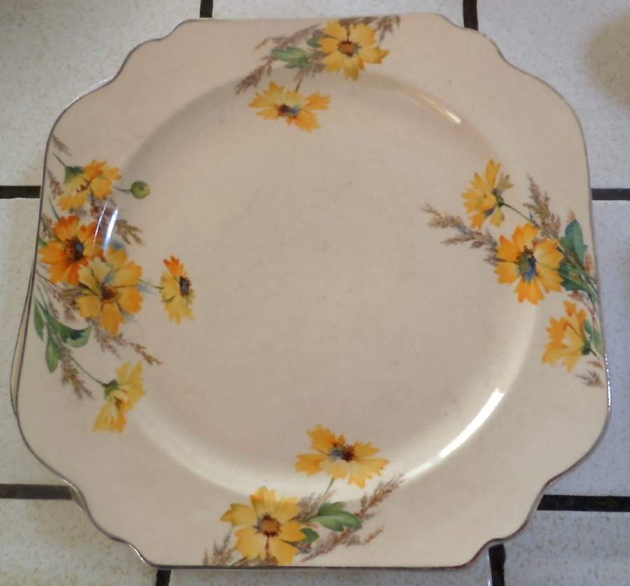 LEP41 Dinner Plate by Leigh Potters-1