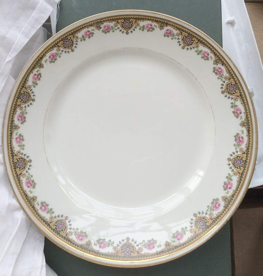 VIG211 Dinner Plate by Vignaud-1