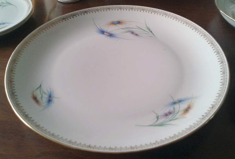 LIM670 Dinner Plate by Limoges-French-1
