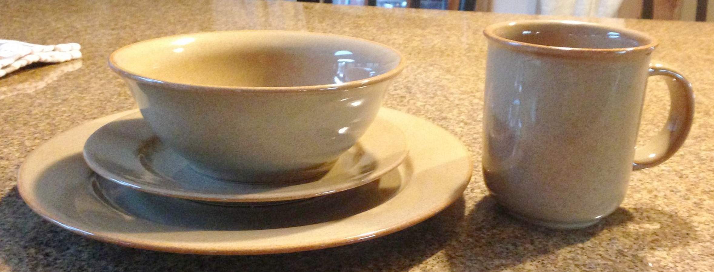 LIE11 Brown Dinner Plate by Libbey-1