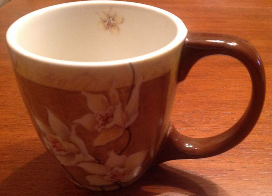 Goolden Dragonfly Mug by Lang-1