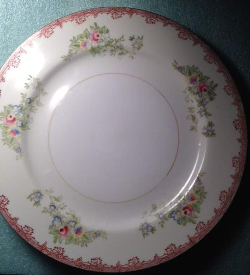 LGE3 Dinner Plate by L'Aigle-1