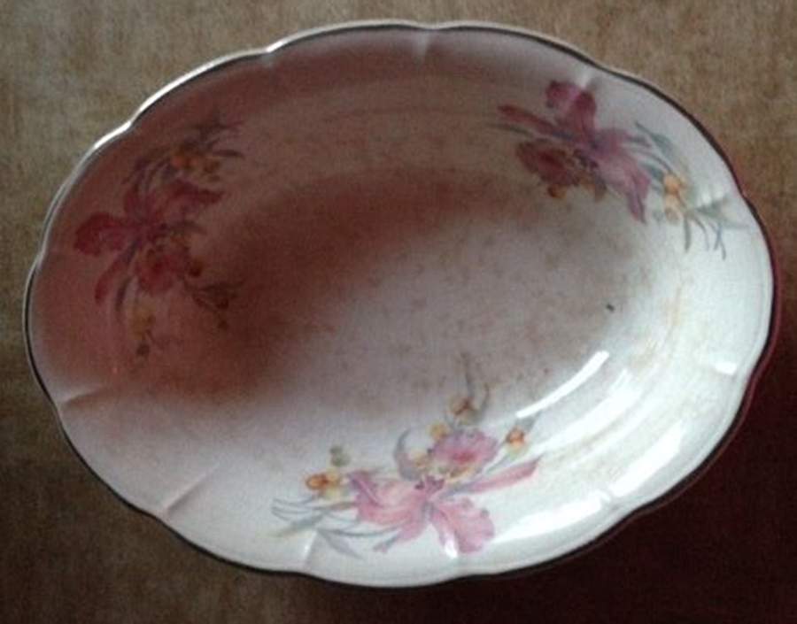 Orchid 9" Oval Vegetable Bowl by Limoges-American-1