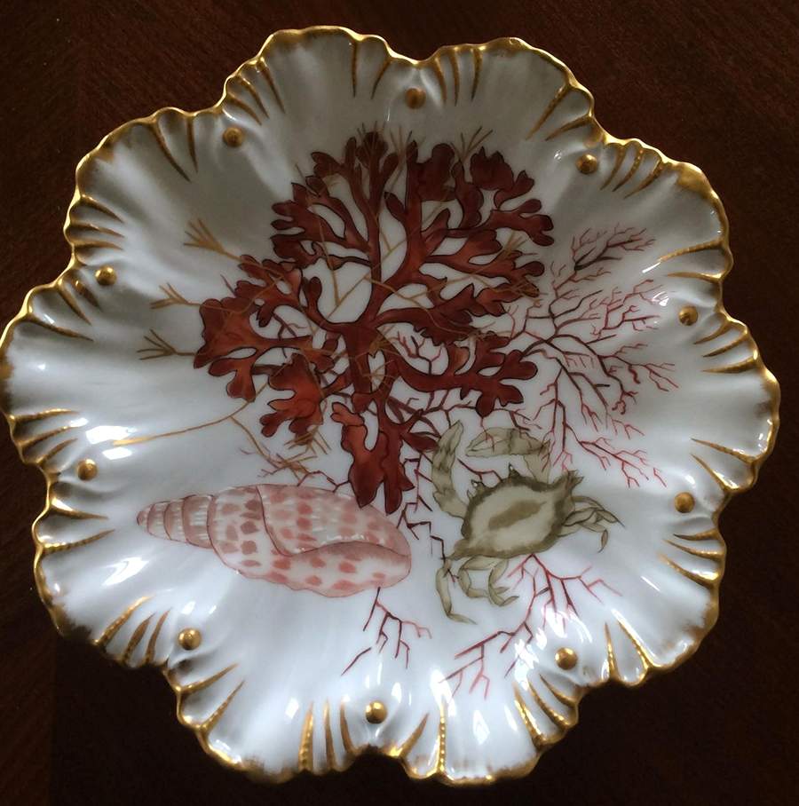 LNT414 Salad Plate by Lanternier-1