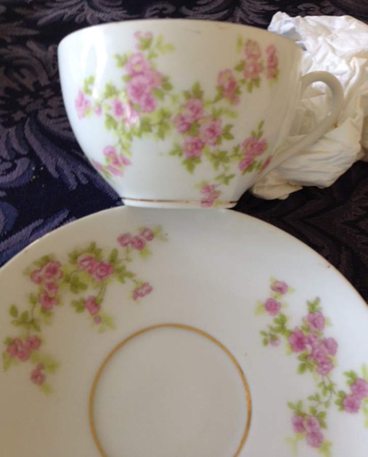 LSS313 Flat Cup & Saucer Set by Lazarus Straus & Sons-1