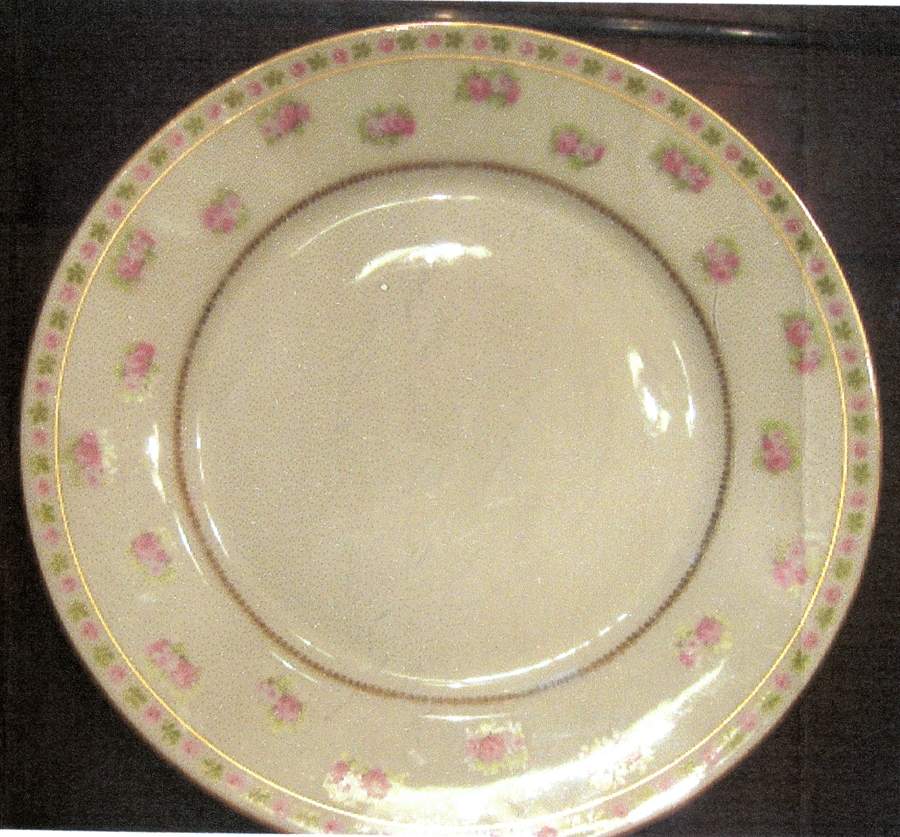 LIM701 Dinner Plate by Limoges-French-1