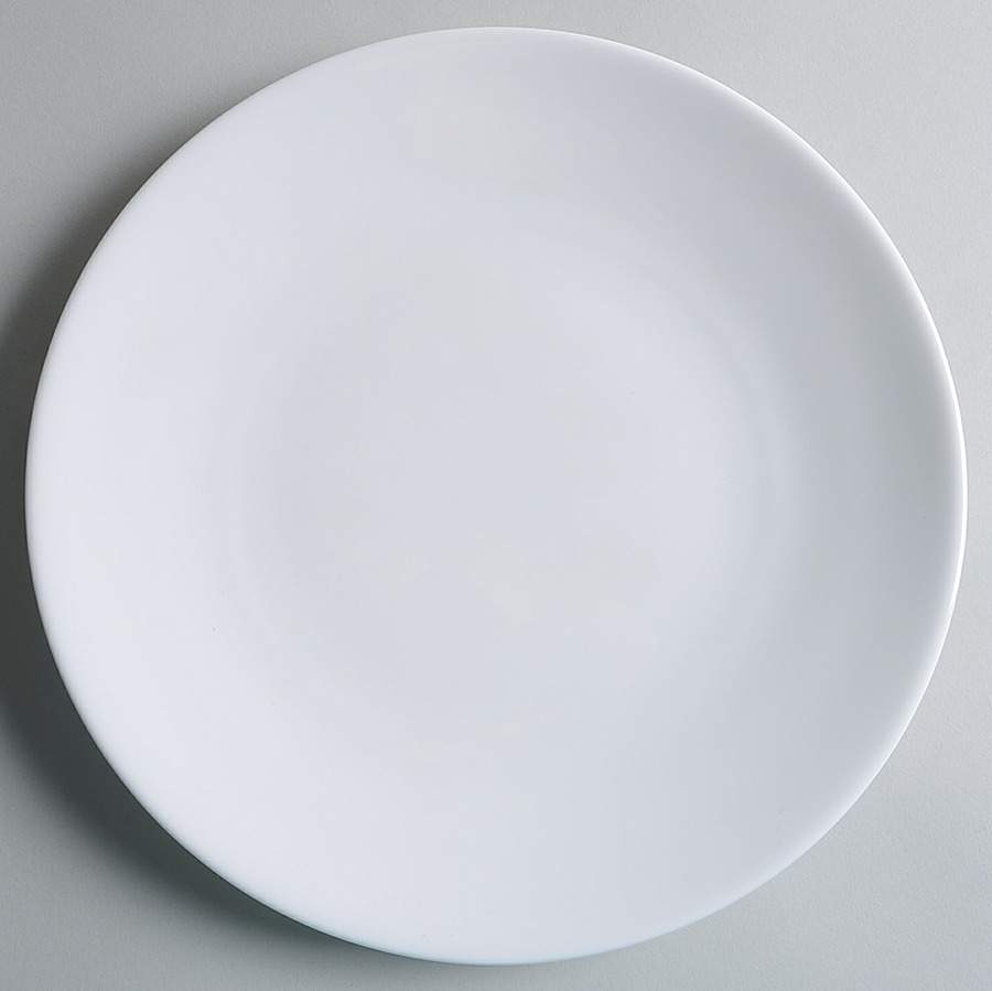 Whiteware Dinner Plate by Lenox-1
