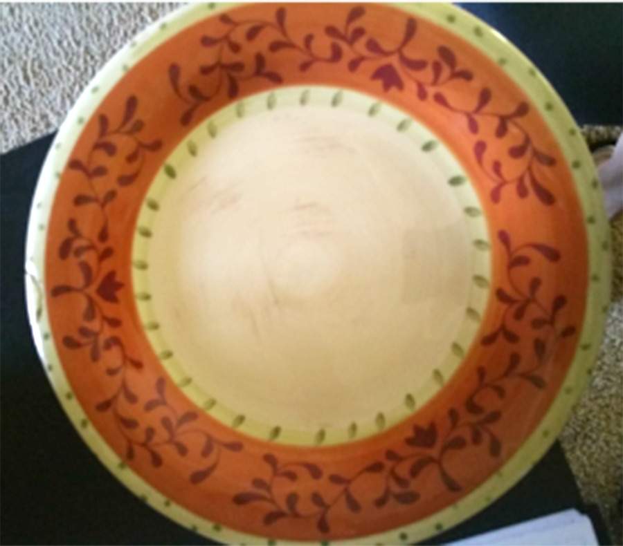 LGA160 Dinner Plate by Laurie Gates-1