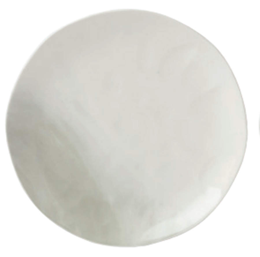 Oyster Bay Dinner Plate by Lenox-1