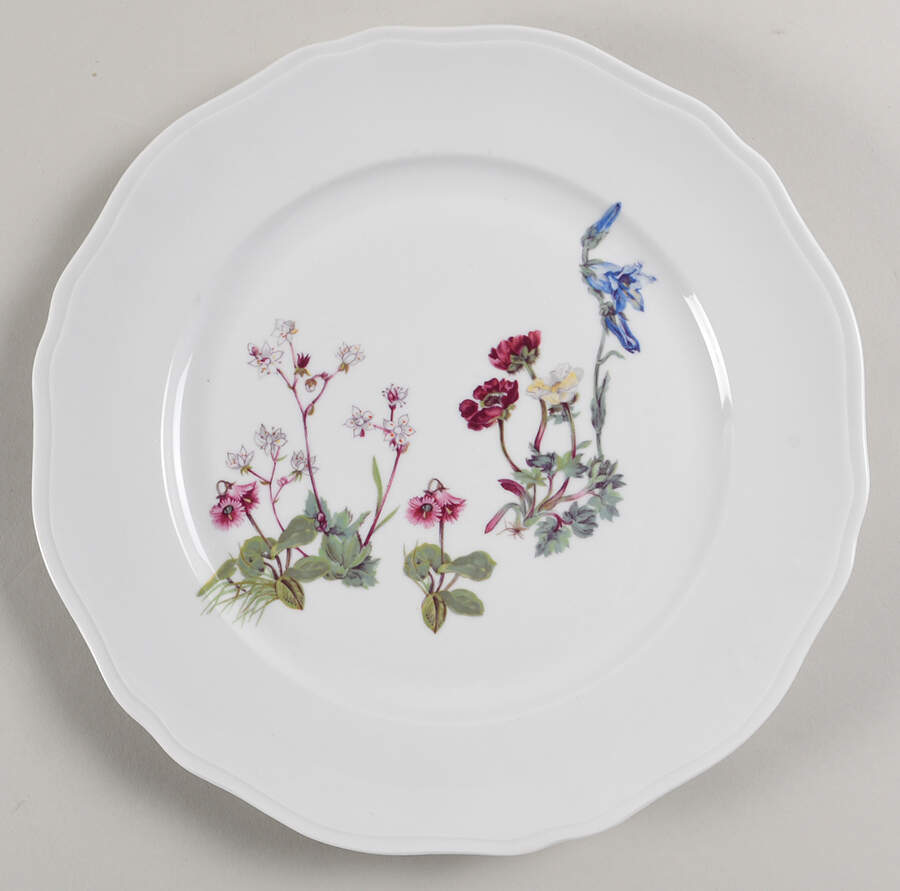 Wild Flower Dinner Plate by Louis Lourioux-1