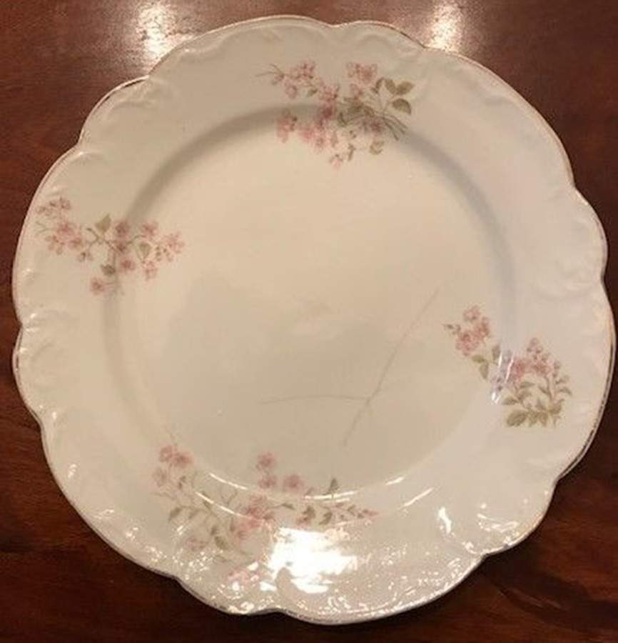 MEG20 Dinner Plate by Merkelsgrun-1