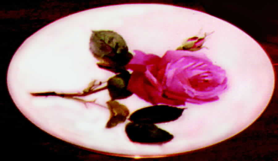 G2461 Dinner Plate by Minton-1
