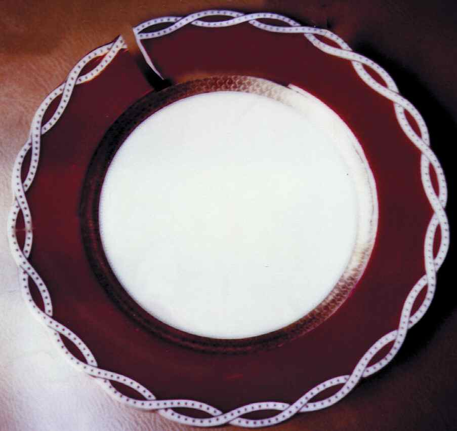 M11 Dinner Plate by Minton-1