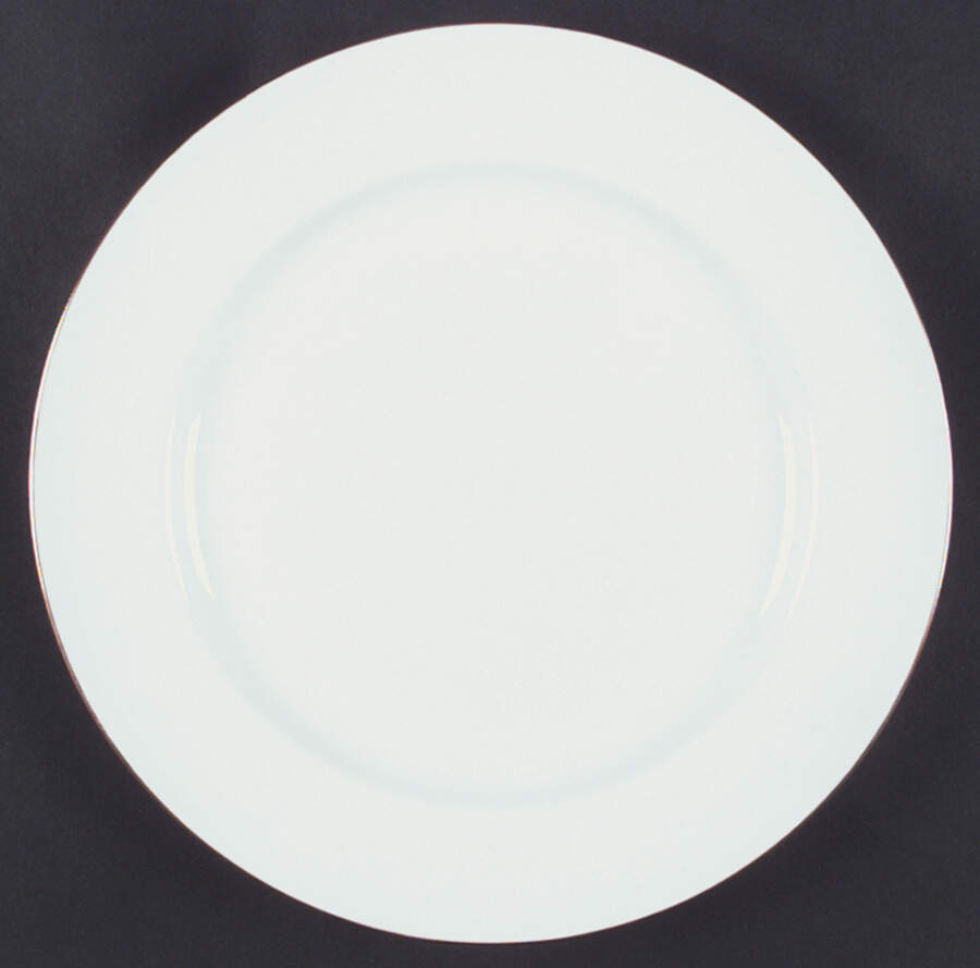 M23 Dinner Plate by Minton-1