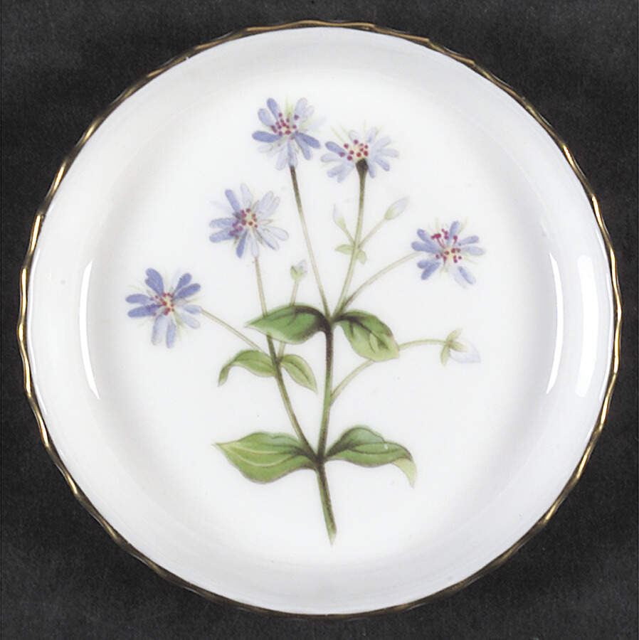 Meadow Scalloped Coaster by Minton-1