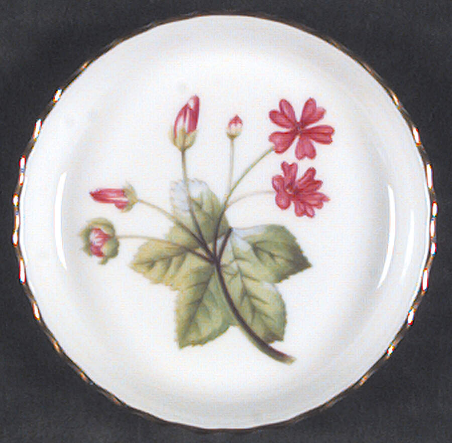 Meadow Scalloped Coaster by Minton-1
