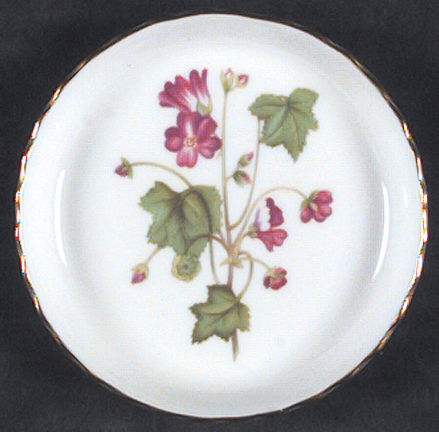 Meadow Scalloped Coaster by Minton-1