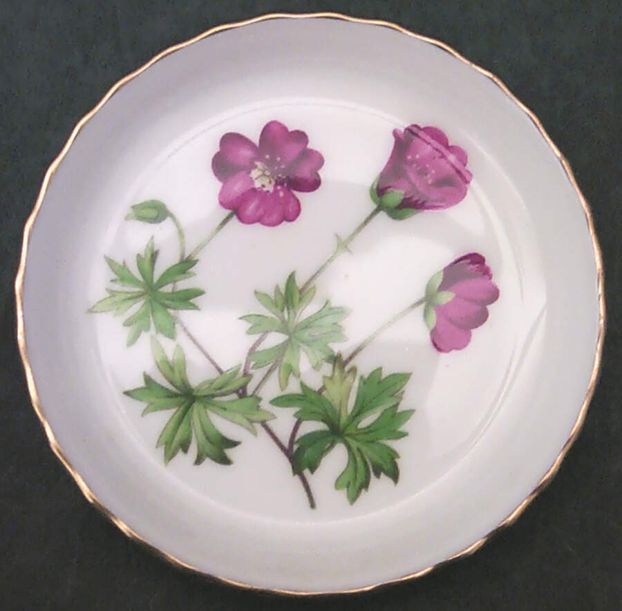 Meadow Scalloped Coaster by Minton-1