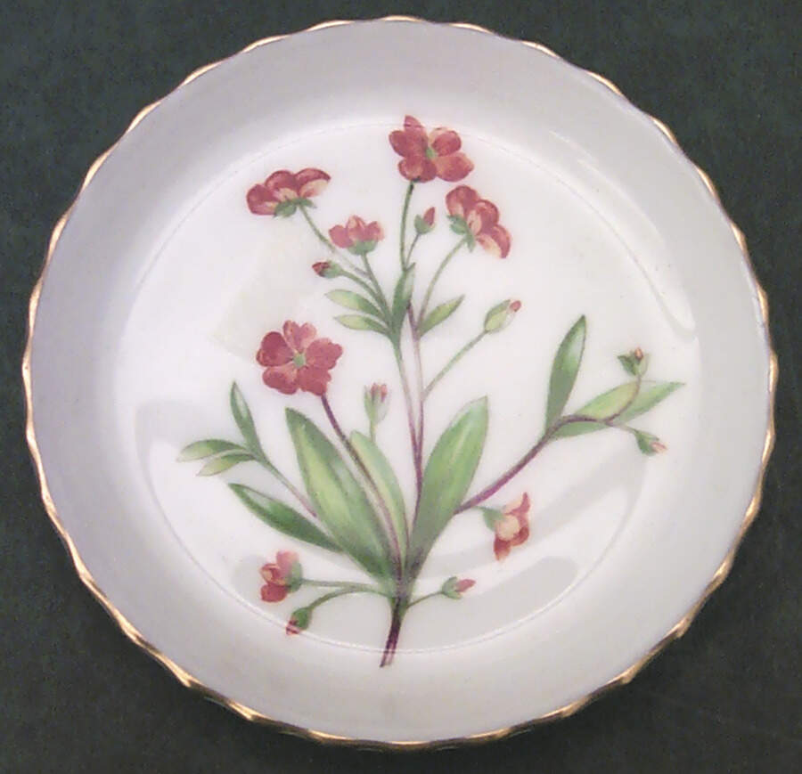 Meadow Scalloped Coaster by Minton-1