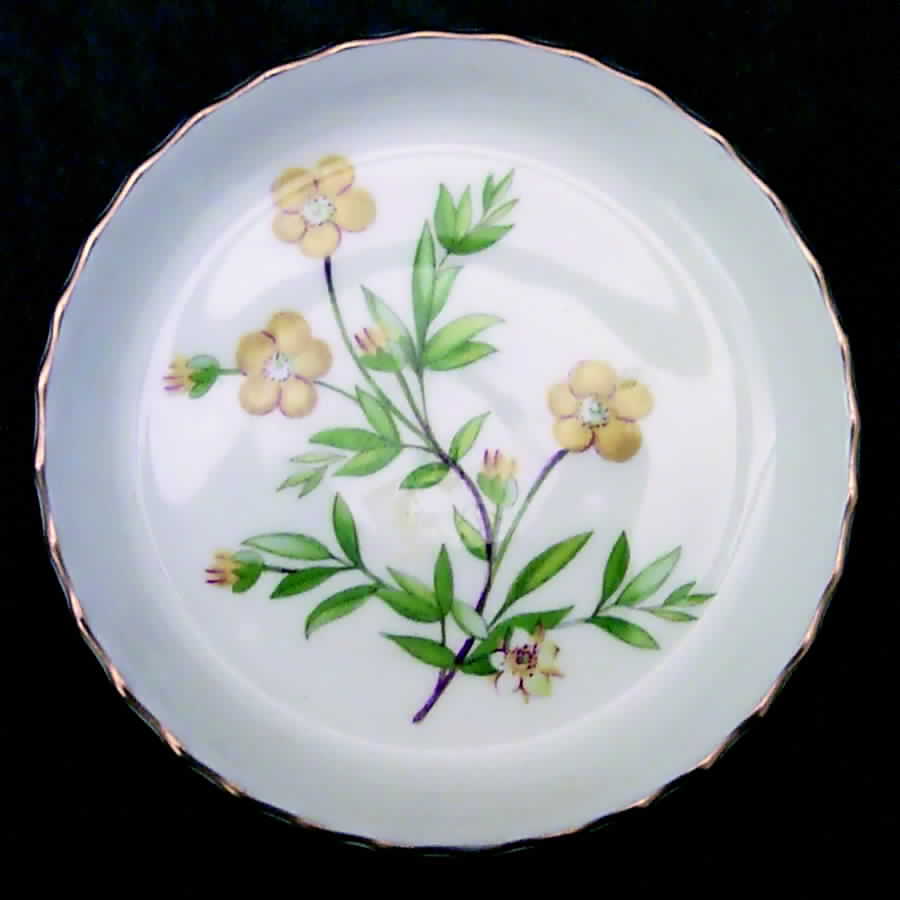 Meadow Scalloped Coaster by Minton-1