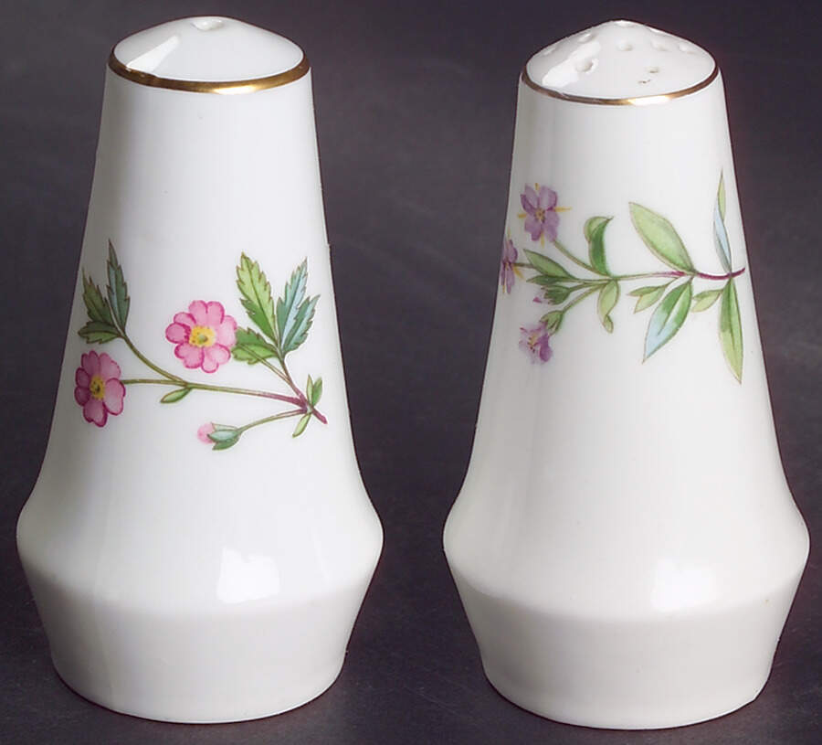 Meadow Smooth Salt & Pepper Set by Minton-1
