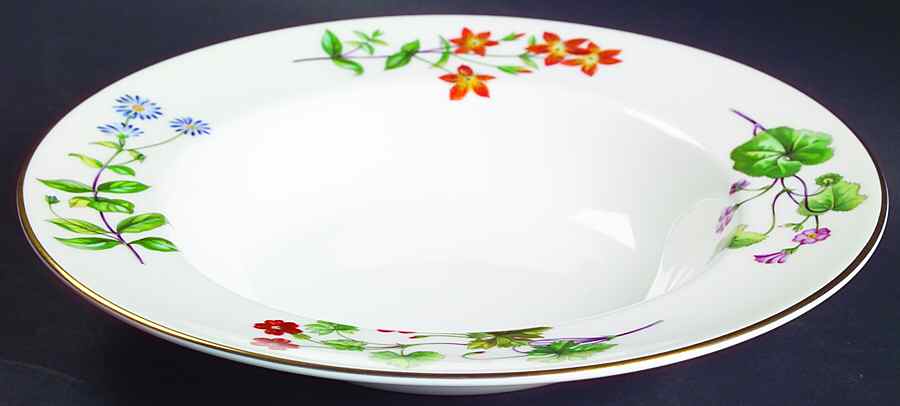 Meadow Smooth Large Rim Soup Bowl by Minton-1