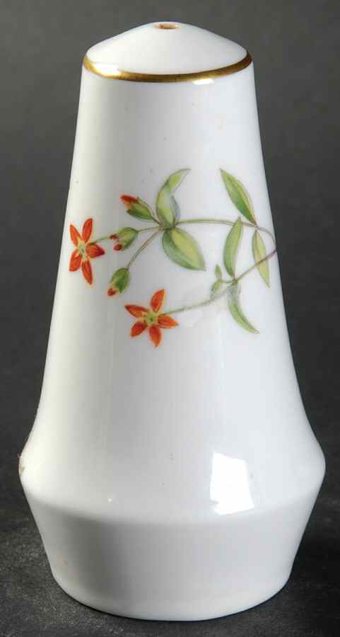 Meadow Smooth Salt Shaker by Minton-1