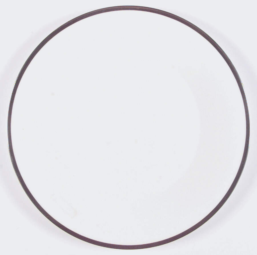 Palatine Dinner Plate by Minton-1