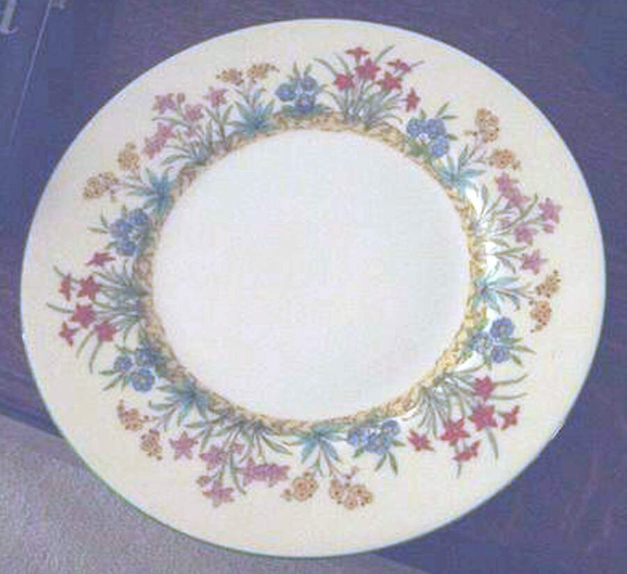 Rock Garden Dinner Plate by Minton-1