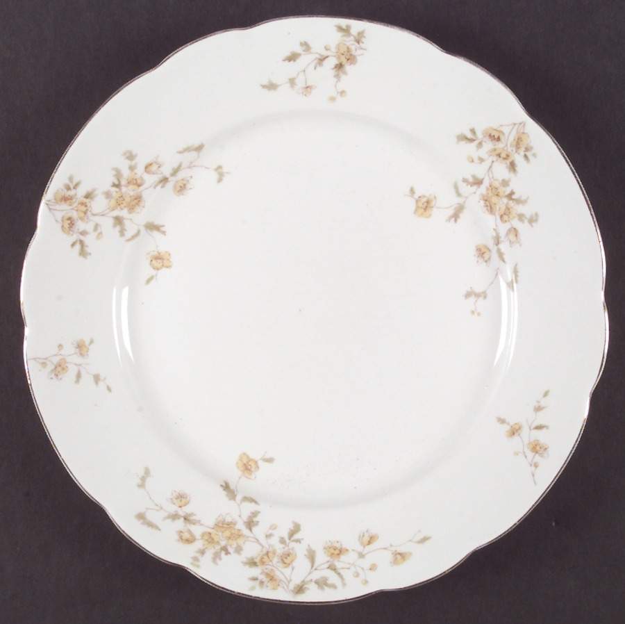 Dainty Dinner Plate by John Maddock & Sons-1