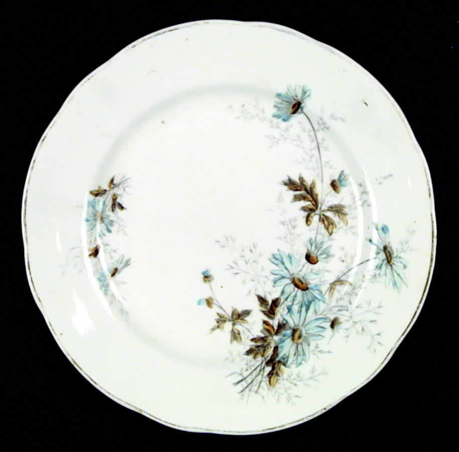 MAD10 Dinner Plate by John Maddock & Sons-1