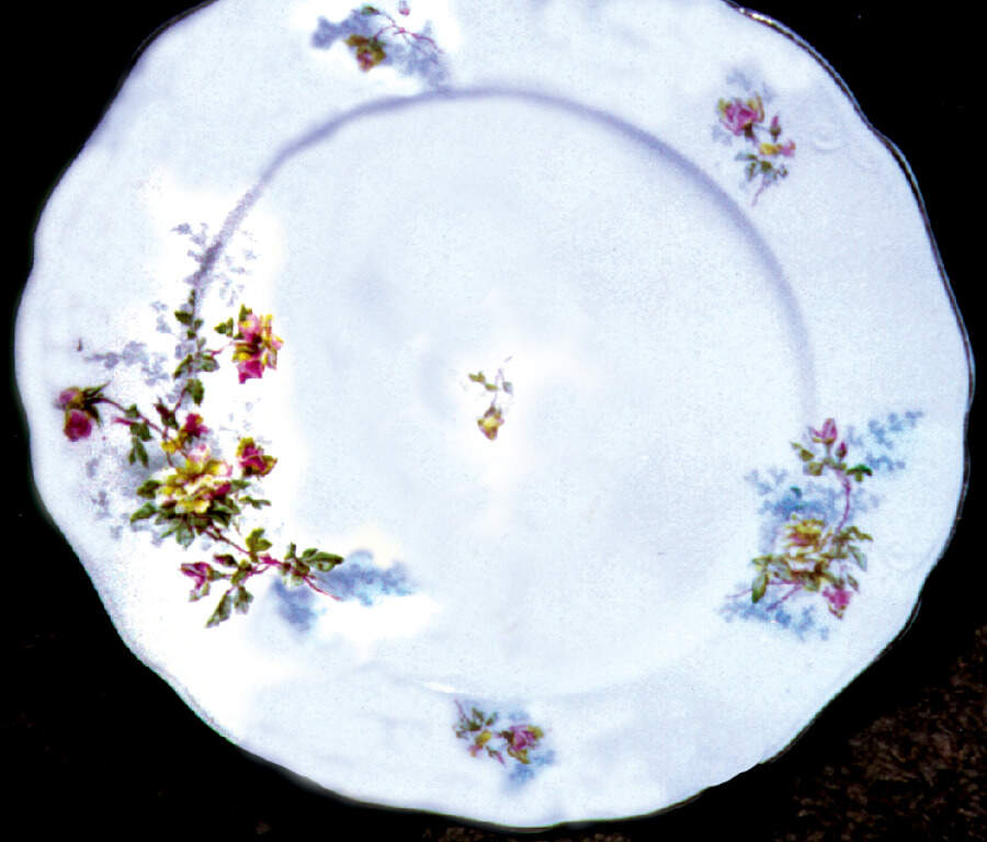 MAD29 Dinner Plate by John Maddock & Sons-1