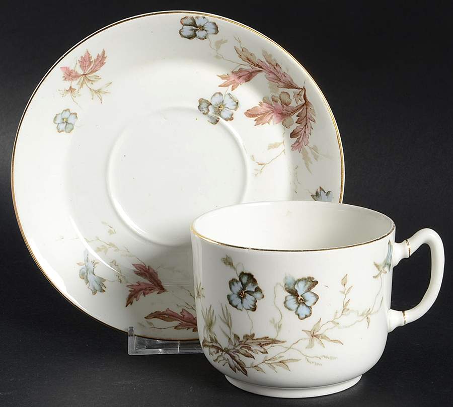 Pansy Flat Cup & Saucer Set by John Maddock & Sons-1