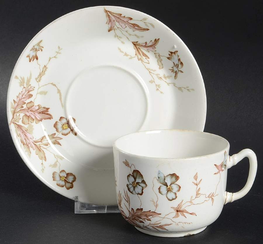 Pansy Flat Cup & Saucer Set by John Maddock & Sons-1