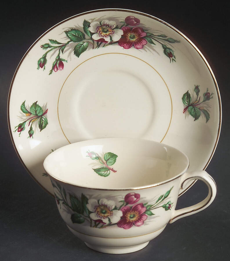 Montana Flat Cup & Saucer Set by John Maddock & Sons-1