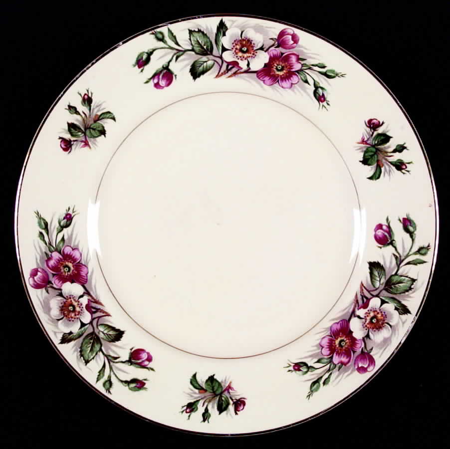Montana Dinner Plate by John Maddock & Sons-1