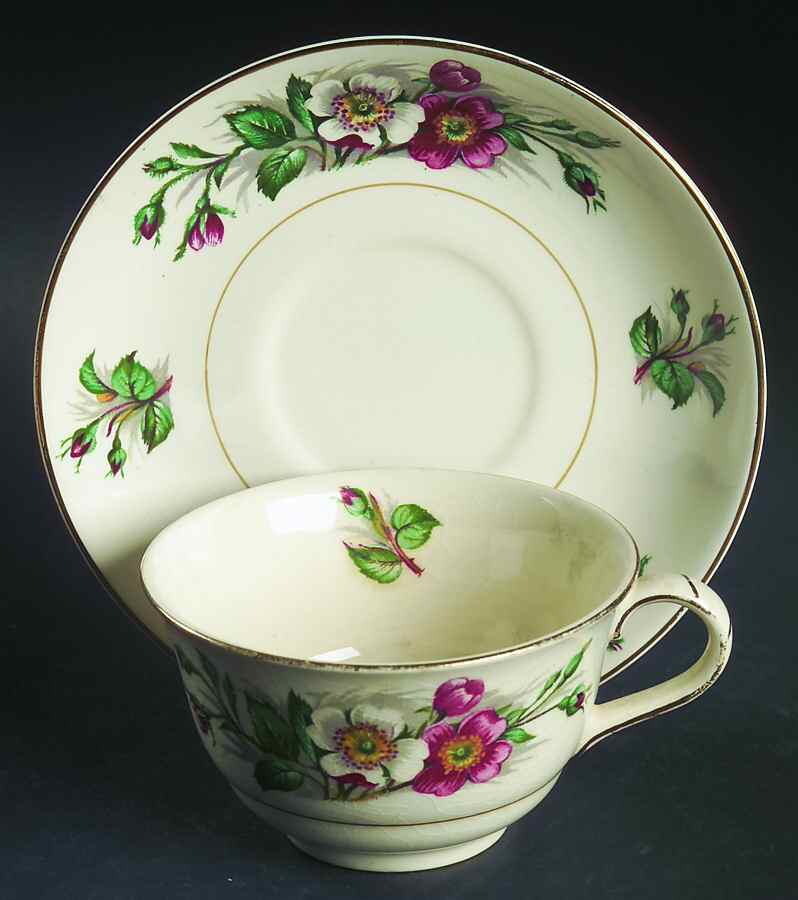 Montana Flat Cup & Saucer Set by John Maddock & Sons-1
