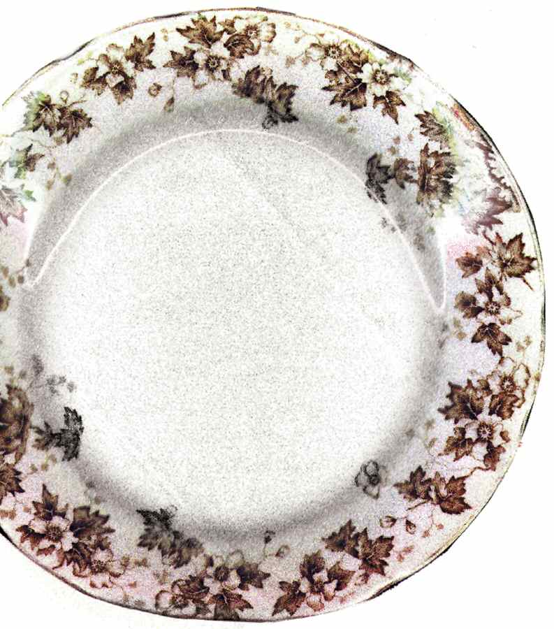 Oakland Brown (Scalloped, Gold Trim) Salad Plate by John Maddock & Sons-1