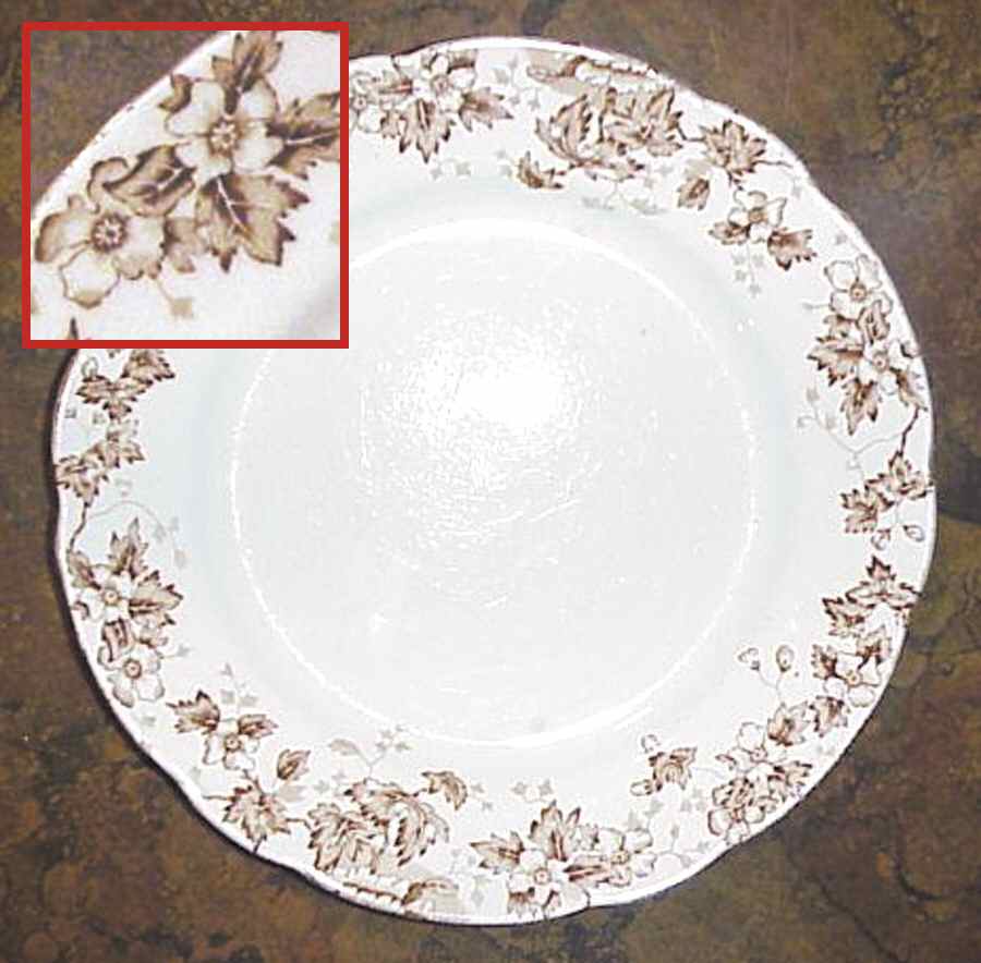Oakland Brown (Scalloped, Gold Trim) Dinner Plate by John Maddock & Sons-1