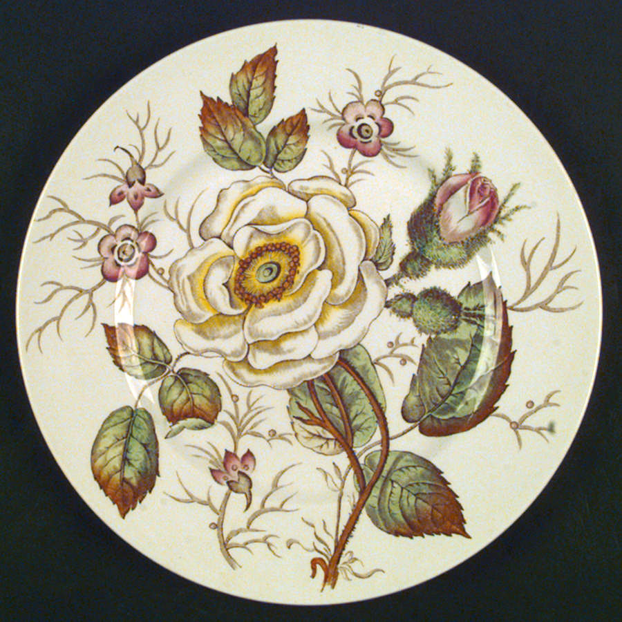 Old Rose Dinner Plate by John Maddock & Sons-1